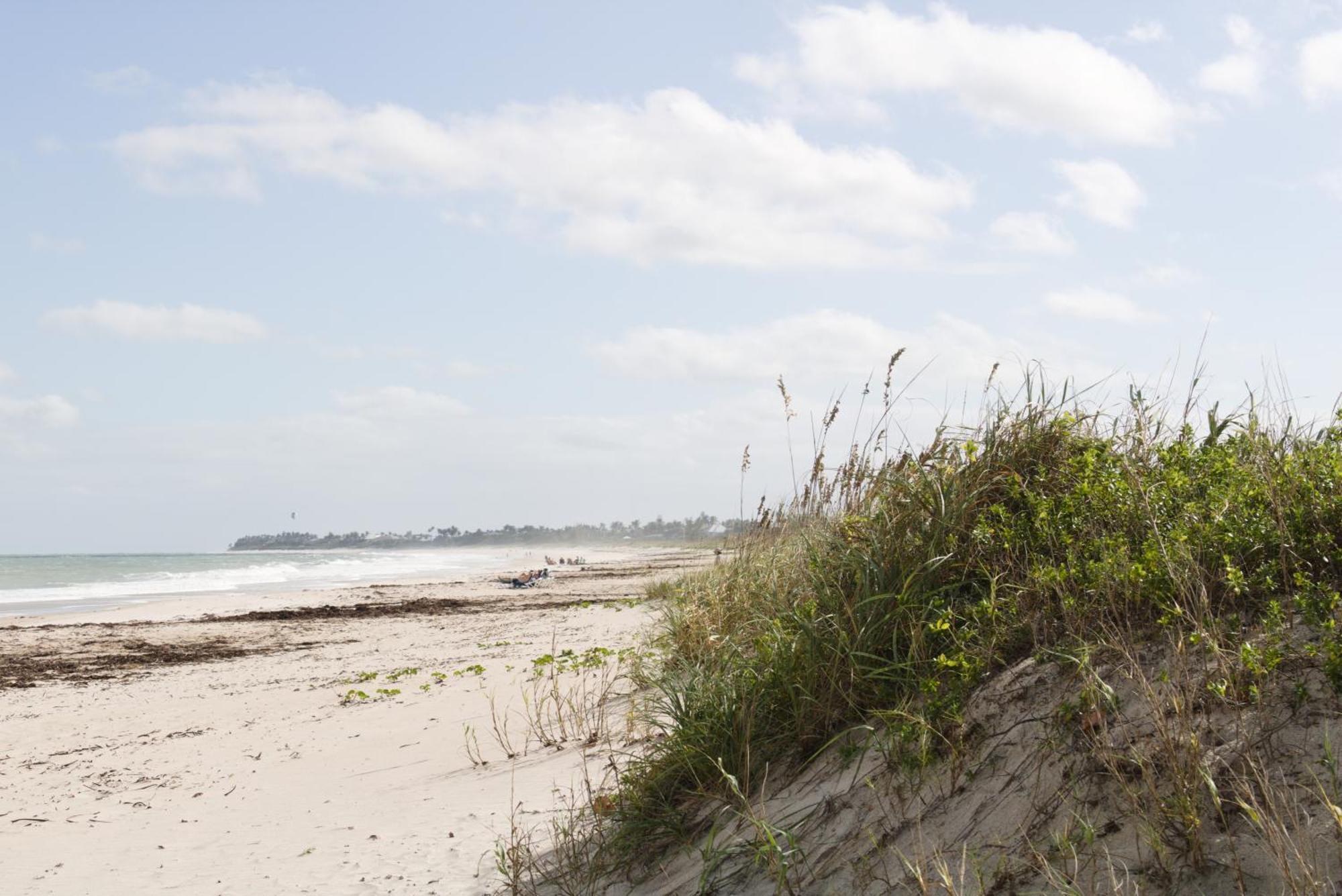 The Caribbean Court Boutique Hotel Vero Beach Buitenkant foto