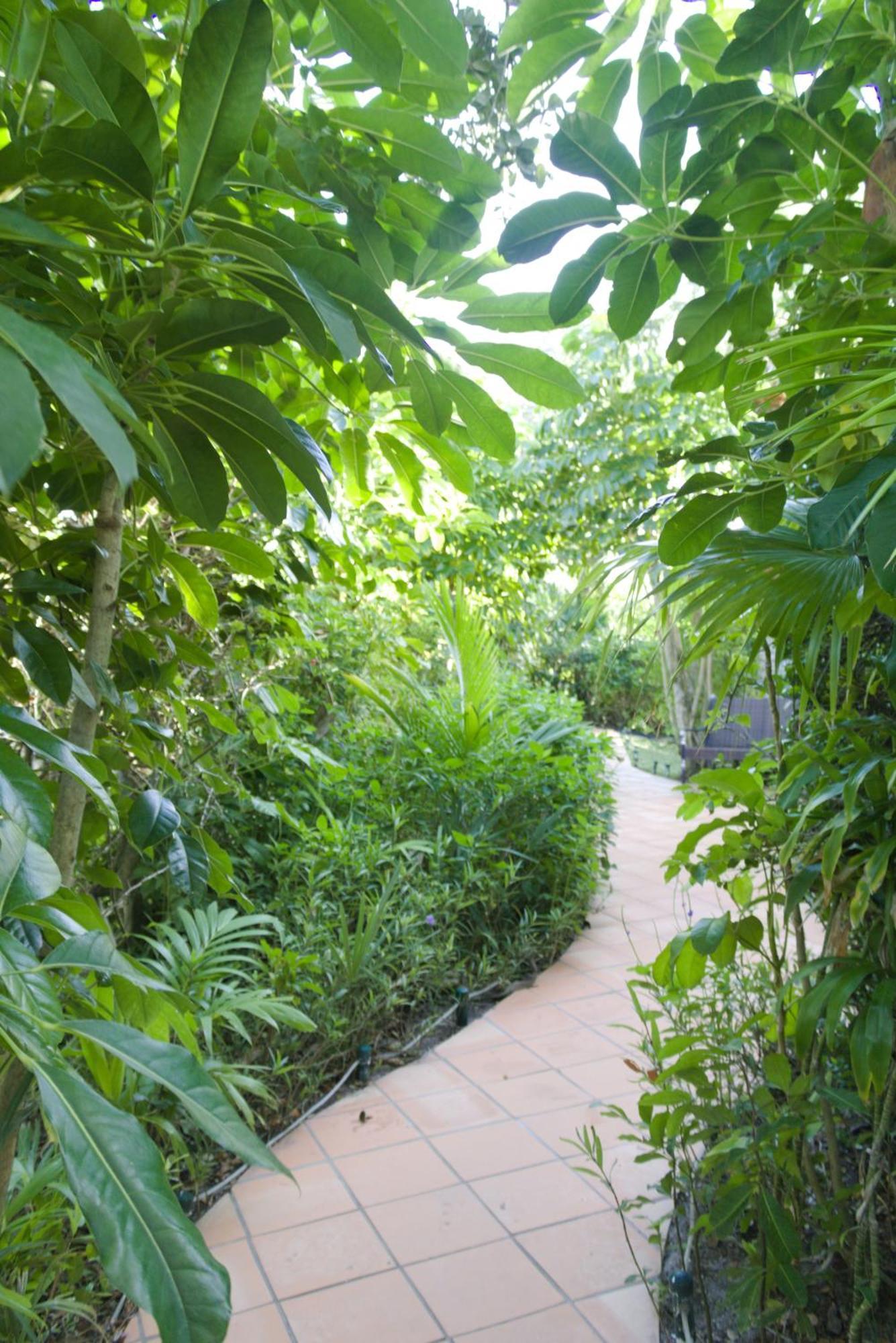 The Caribbean Court Boutique Hotel Vero Beach Buitenkant foto