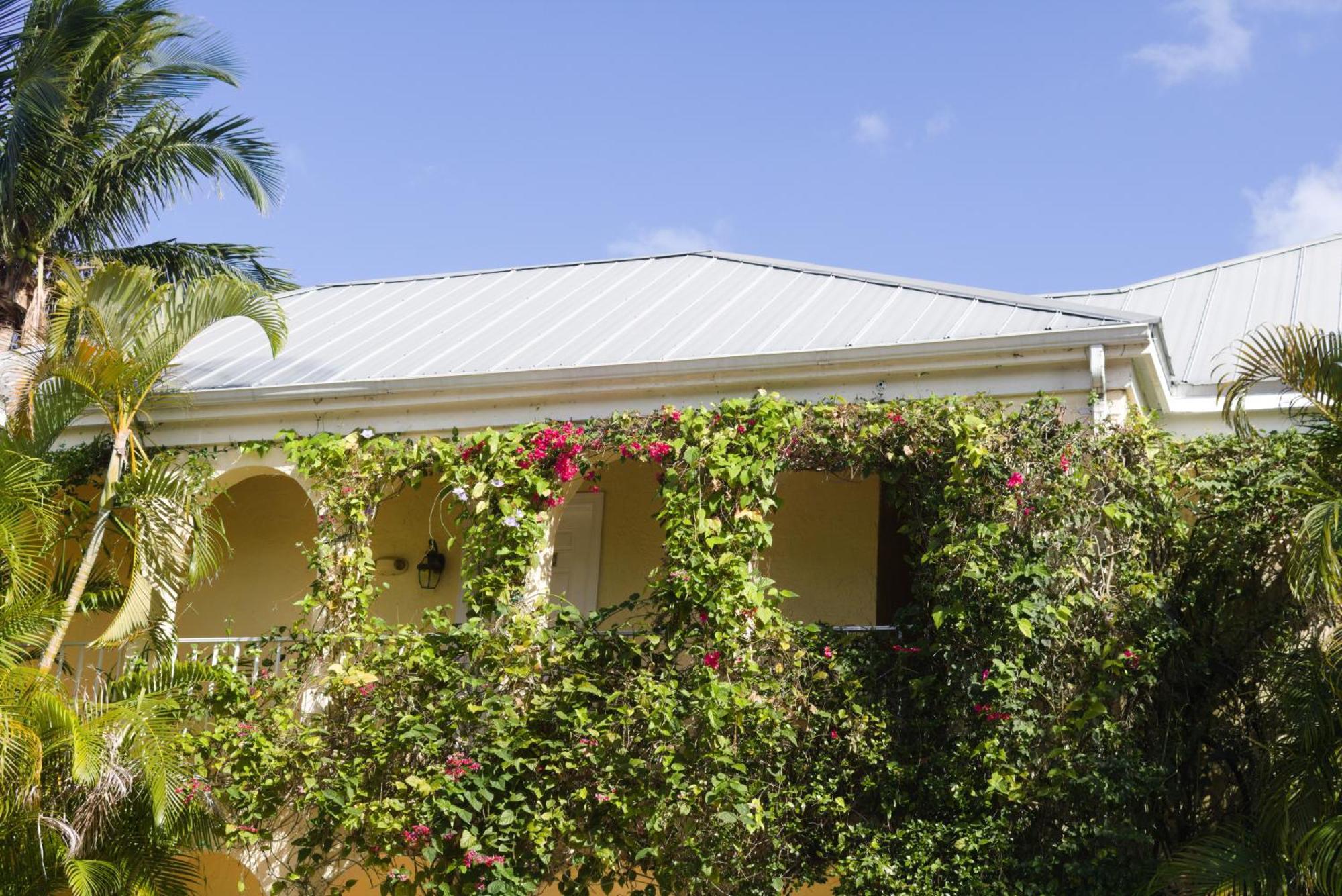 The Caribbean Court Boutique Hotel Vero Beach Buitenkant foto